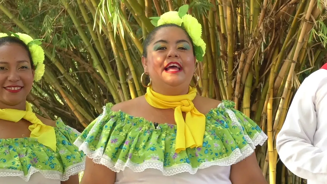 Fotograma del video del Paseo del Pajarito en Gamarra.
